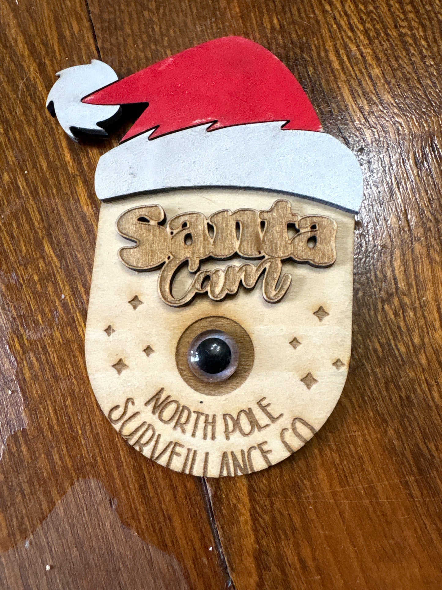 Santa Spy Cam