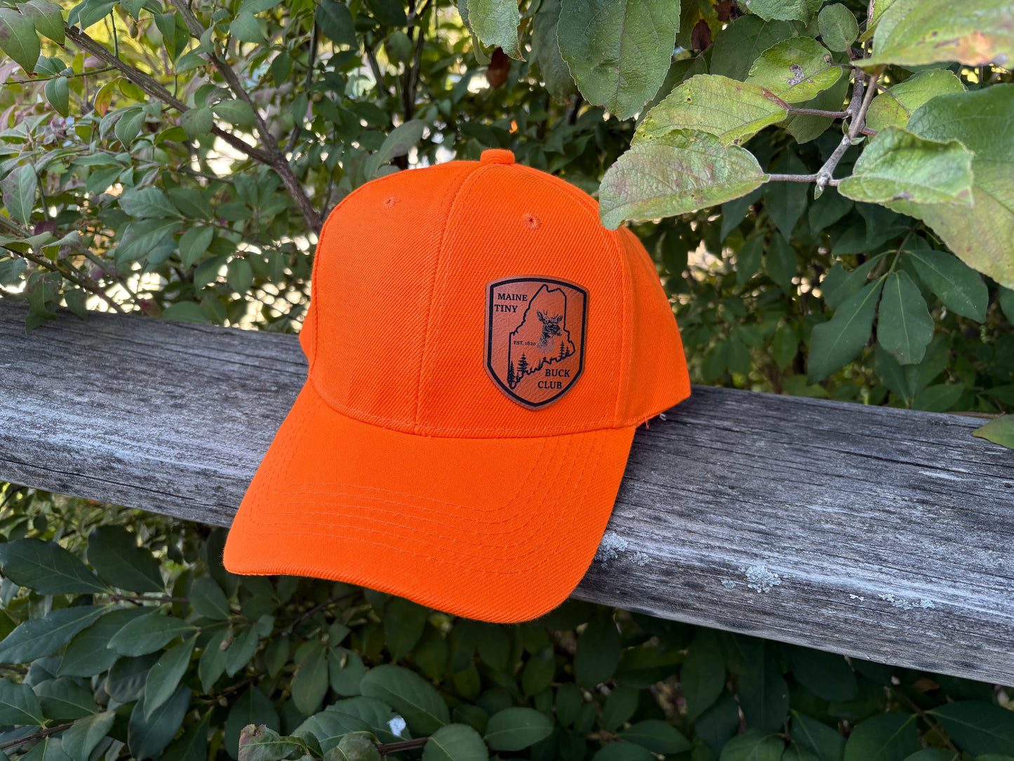 Maine Tiny Buck Club orange hat.