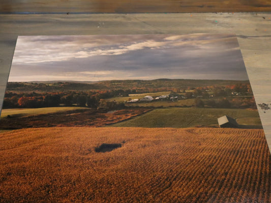 Maine Landscape